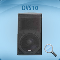DVS 10